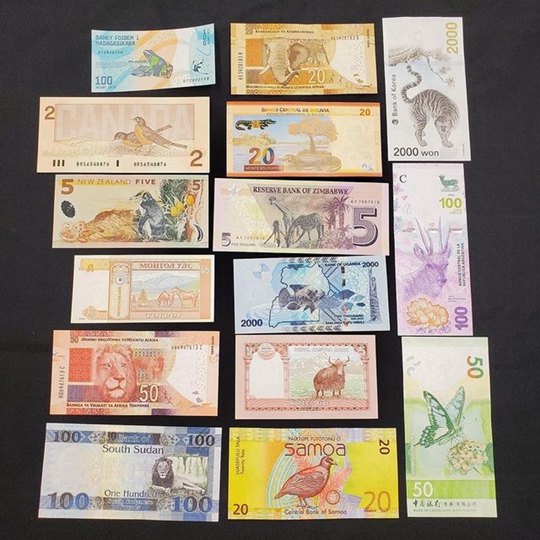 Paper currency from various nations.