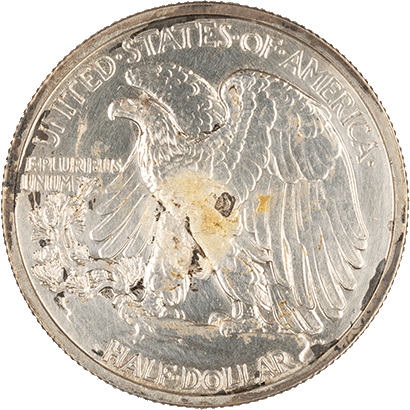 Reverse side of the 1917 Walking Liberty Half Dollar coin engraved with 'United States of America' and 'Half Dollar.'